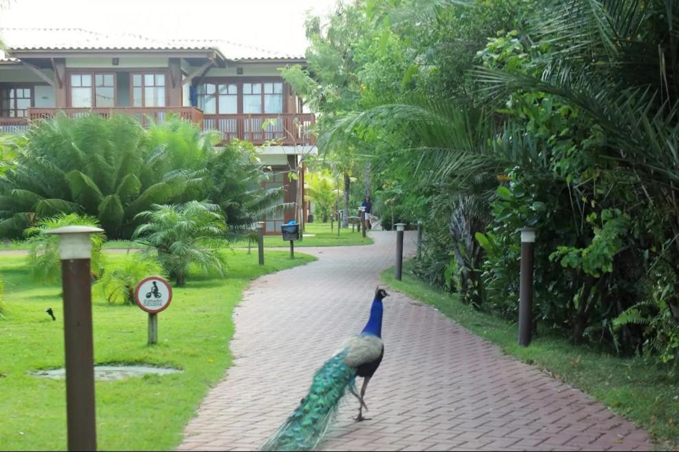 Villa Da Enseada, Praia Do Forte Εξωτερικό φωτογραφία